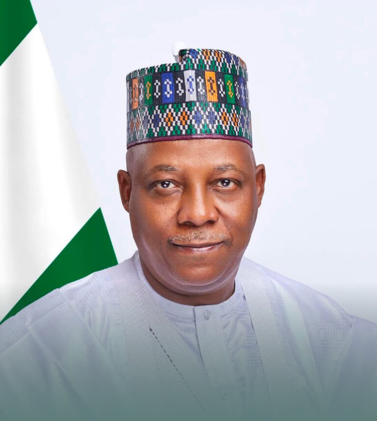 Official portrait of Kashim Shettima, GCON